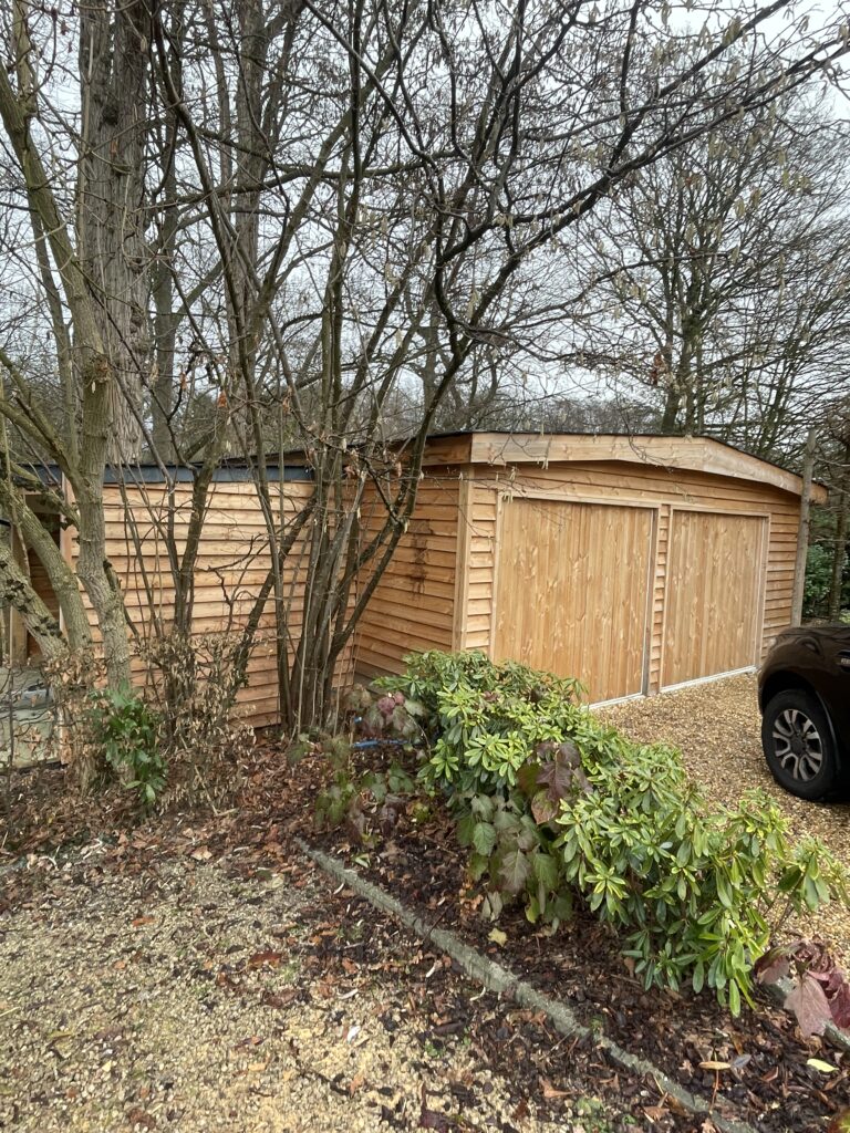 20260127 102125653 IOS 768x1024